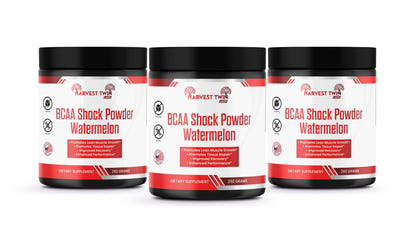 BCAA Shock Powder (Watermelon)